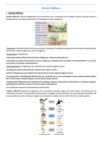 T10-Xarxes-trofiques.pdf
