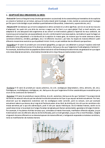 T2-Evolucio.pdf