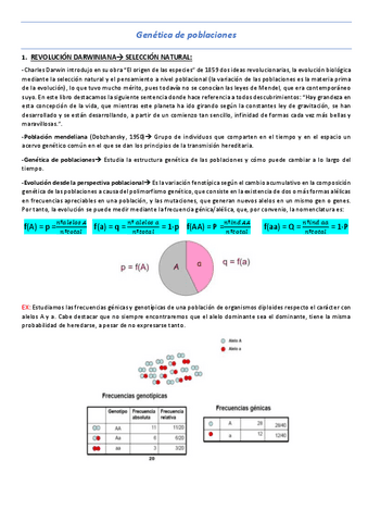 T7-Genetica-de-poblaciones.pdf