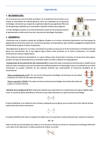 T5-Ligamiento.pdf