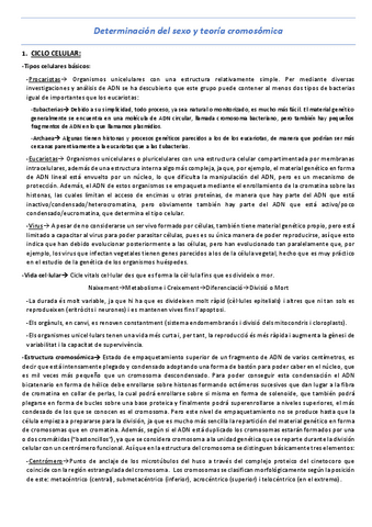 T3-Determinacion-del-sexo-y-teoria-cromosomica.pdf