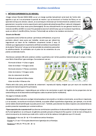 T2-Genetica-mendeliana.pdf
