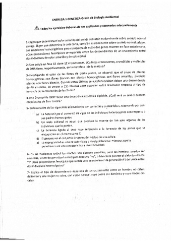 ENTREGA-1.pdf