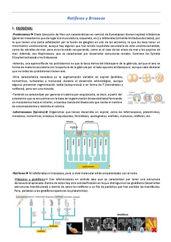 T10-Rotiferos-y-Briozoos.pdf