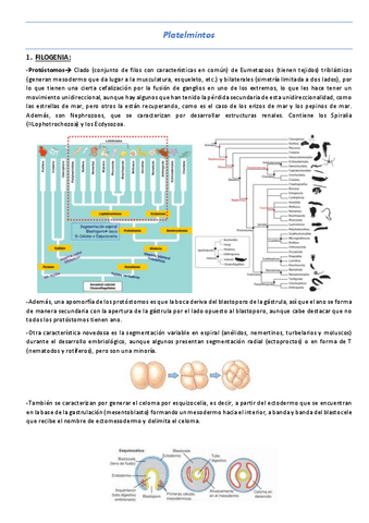 T9-Platelmintos.pdf