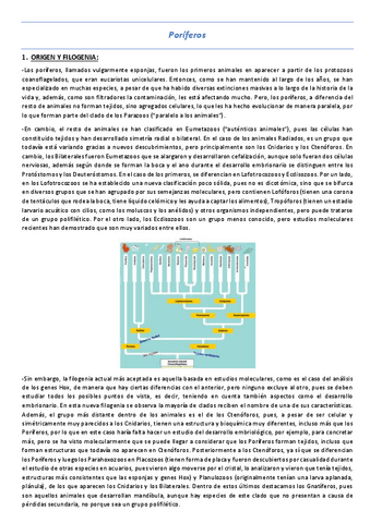 T7-Poriferos.pdf