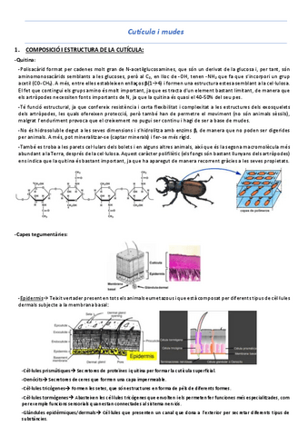 T2-Cuticula-i-mudes.pdf