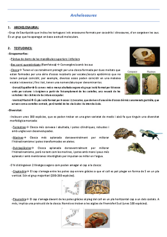 T17-Archelosaures.pdf