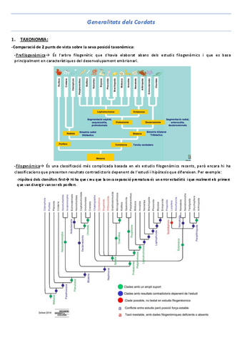 T10-Generalitat-dels-Cordats.pdf