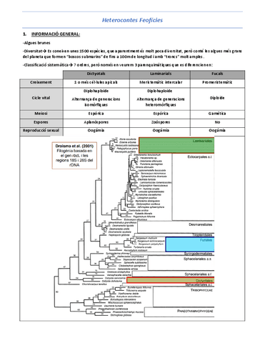 T11-Heterocontes-Feoficies.pdf