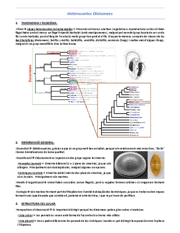 T10-Heterocontes-Diatomees.pdf