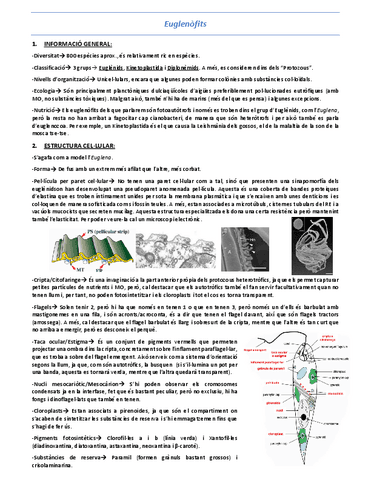 T8-Euglenofits.pdf