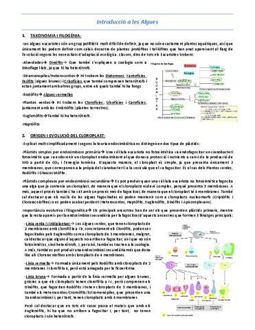 T6-Introduccio-a-les-Algues.pdf