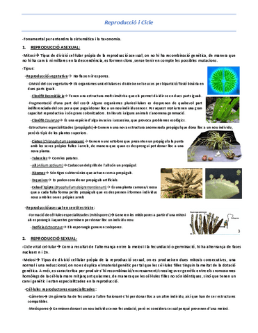 T4-Reproduccio-i-Cicle.pdf