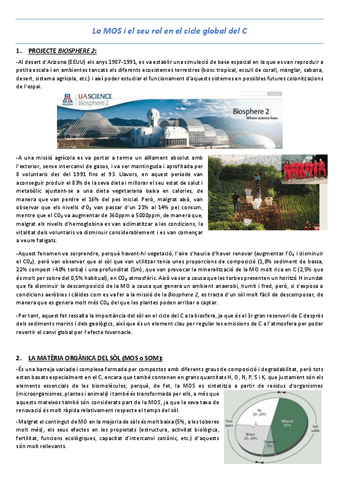 T10-La-MOS-del-sol-i-rol-en-el-cicle-global-del-C.pdf