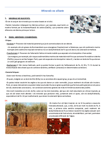 T9-Minerals-no-silicats.pdf