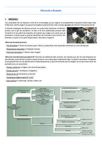 T8-Minerals-silicats.pdf