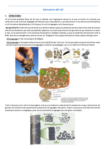 T5-Estructura-del-sol.pdf