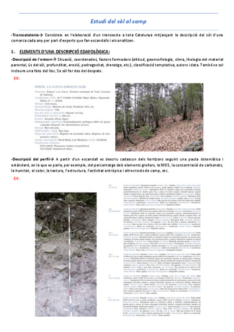 T3-Estudi-del-sol-al-camp.pdf