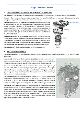 T2-Perfil-i-horitzons.pdf