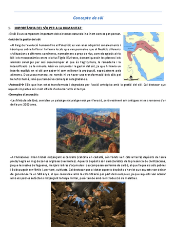 T1-Concepte-de-sol.pdf