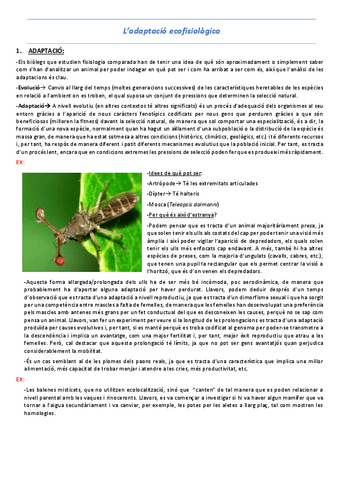 T1-L-adaptacio-ecofisiologica.pdf