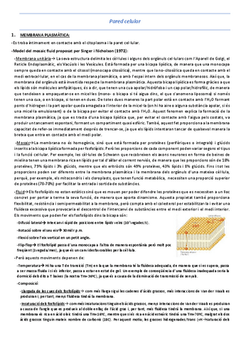 T2-3-La-paret-cellular.pdf