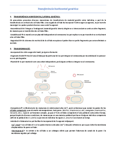 T8-Transferencia-horitzontal-genetica.pdf