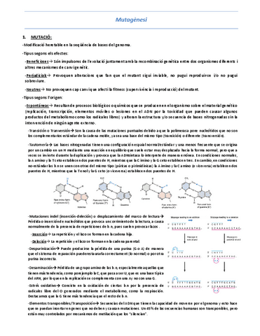 T7-Mutagenesi.pdf