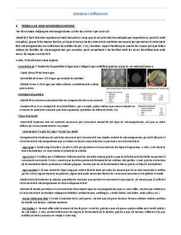 Se-2-Sembra-i-aillament.pdf