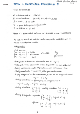 Tema 1 Matemática Empresarial I Apuntes.pdf