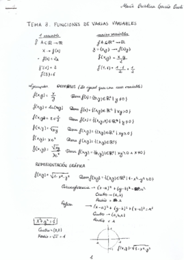 Tema 3 Matemática Empresarial I Apuntes.pdf