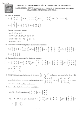 Tema 1 Matemática Empresarial I Ejercicios Resueltos.pdf