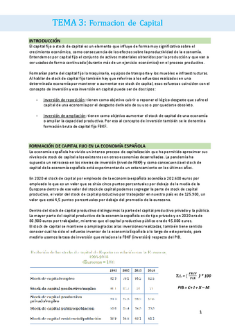 TEMA-3.pdf