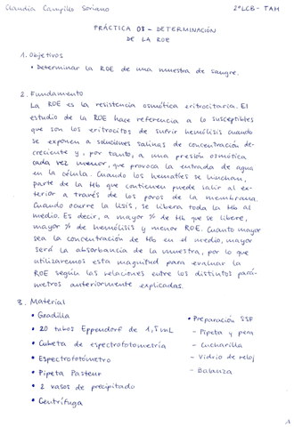 Práctica 08 - Determinación de la ROE.pdf