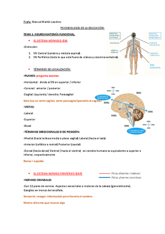 PSICOBIOLOGIA-EDUCACION-INFANTIL-MANUEL-MARTIN-LOECHES.pdf