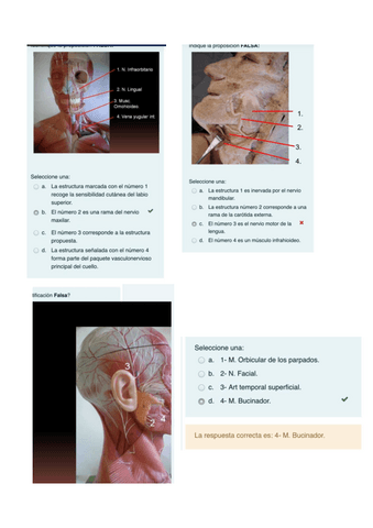 examen-parcial-cyc.pdf