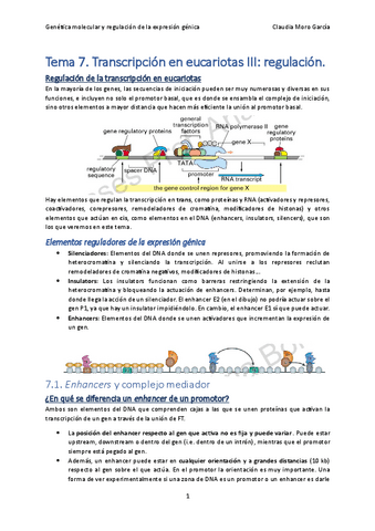 Tema-7.-Transcripcion-en-eucariotas-III.pdf