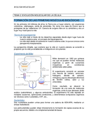 TEMA-2-evolucion-molecular.pdf