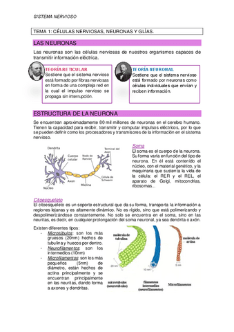 TEMA-1-celulas-nerviosas.pdf