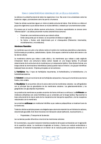 TEMA-1LaCelula.pdf