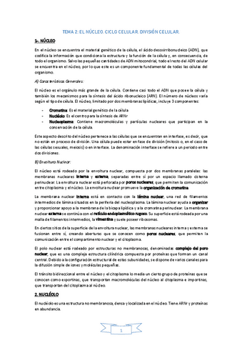 TEMA-2ElNucleo.pdf