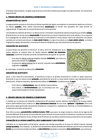TEMA-5DesarrolloEmbrionario.pdf