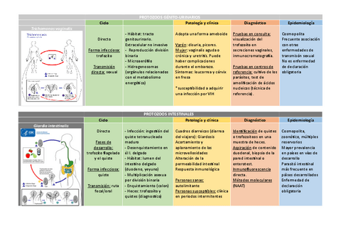 Esquemas-Parasitologia.pdf