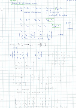 Tema 1 - Sistemas de Ecuaciones Lineales.pdf