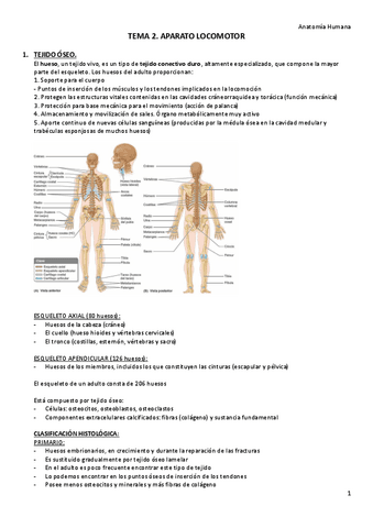 TEMA-2.-Aparato-locomotor.pdf