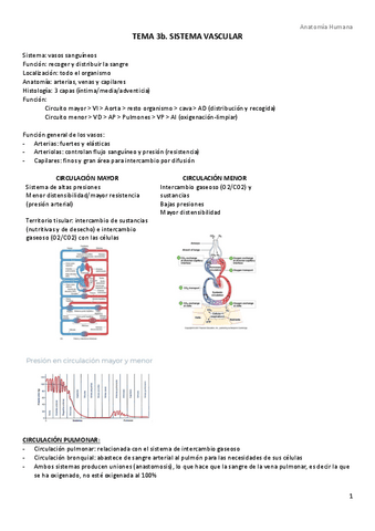 TEMA-3b.-Sistema-vascular.pdf