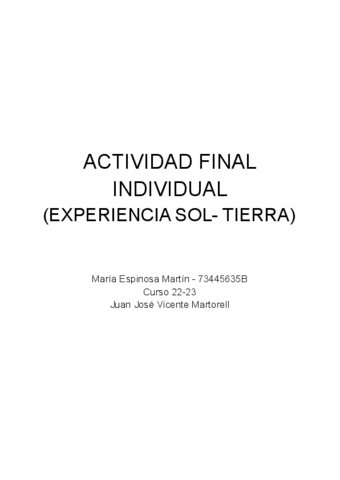 Actividad-final-individual-Experiencia-ST.pdf