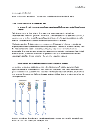Tema-1.-Neurobiologia-de-la-percepcion.pdf
