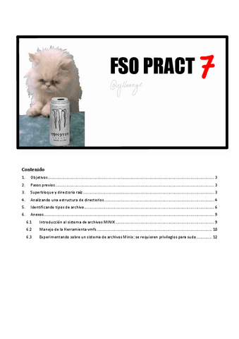 FSO-pract-7-COMPLETA.pdf